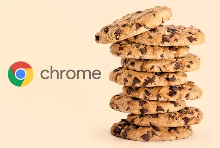 Google Chrome Cookies