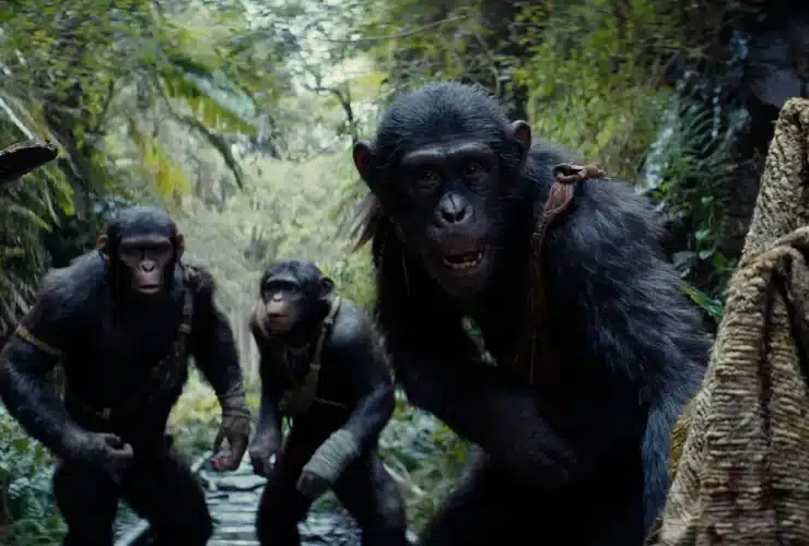 Kingdom Of The Planet Of The Apes