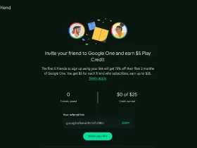 Google One Amigos