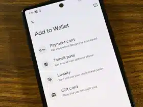 Google Wallet (1)