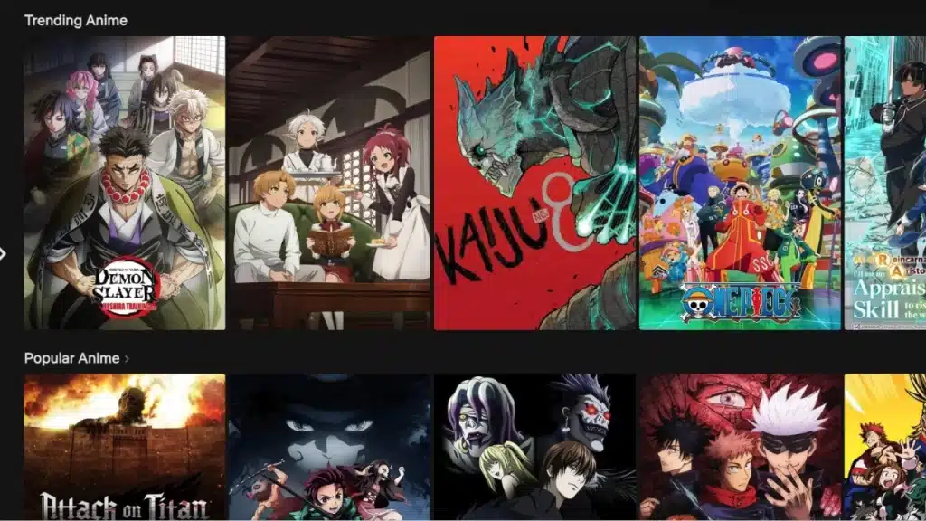 Animeflix Encerrado