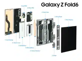 Samsung Galaxy Z Fold 6 (interior)