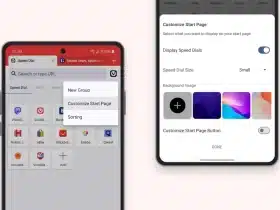 Vivaldi 6.8 Android (2)