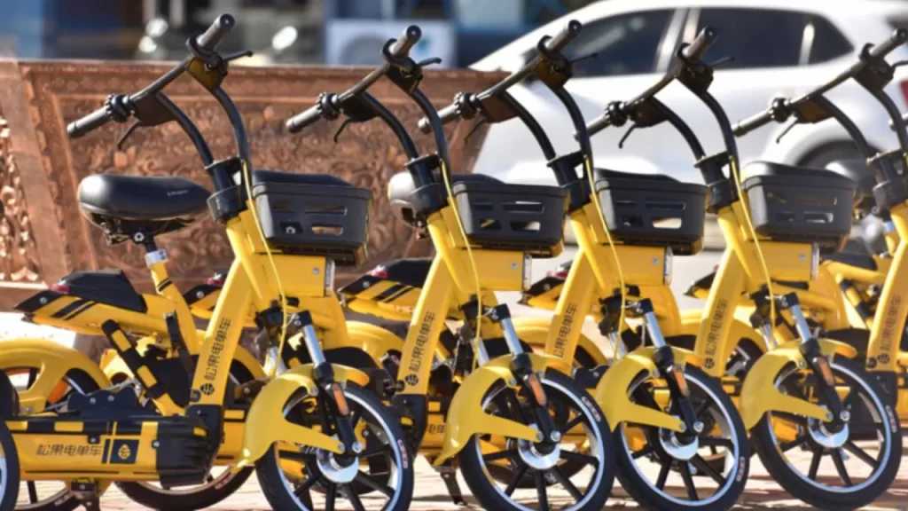 china e bike