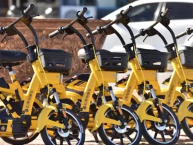 china e bike