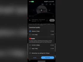 YouTube Grátis Downloads