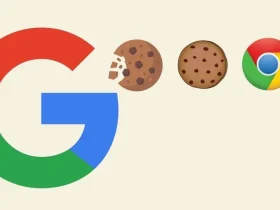 google chrome cookies