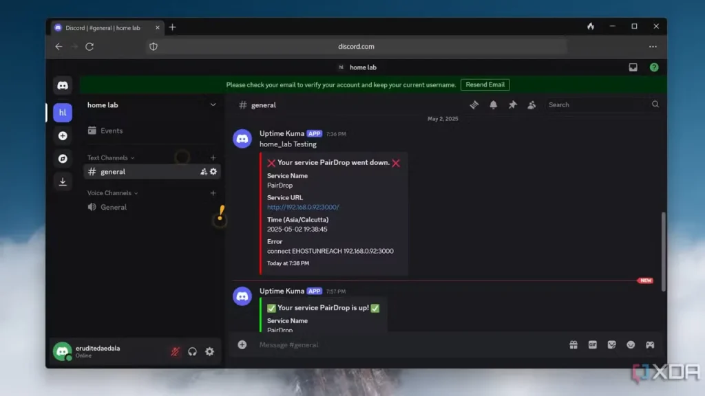 discord verificação