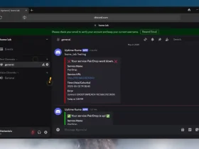 discord verificação