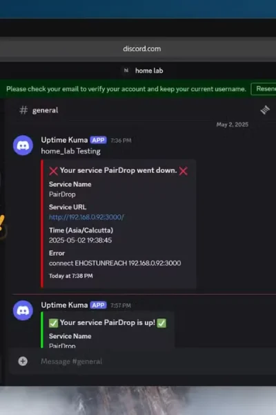 discord verificação