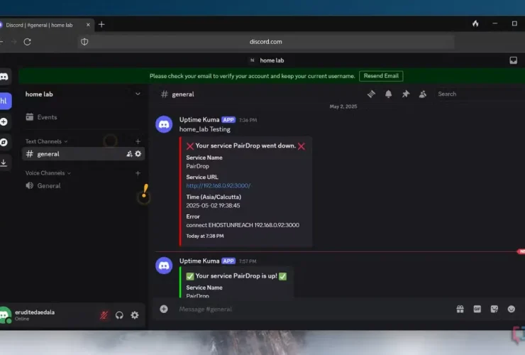 discord verificação